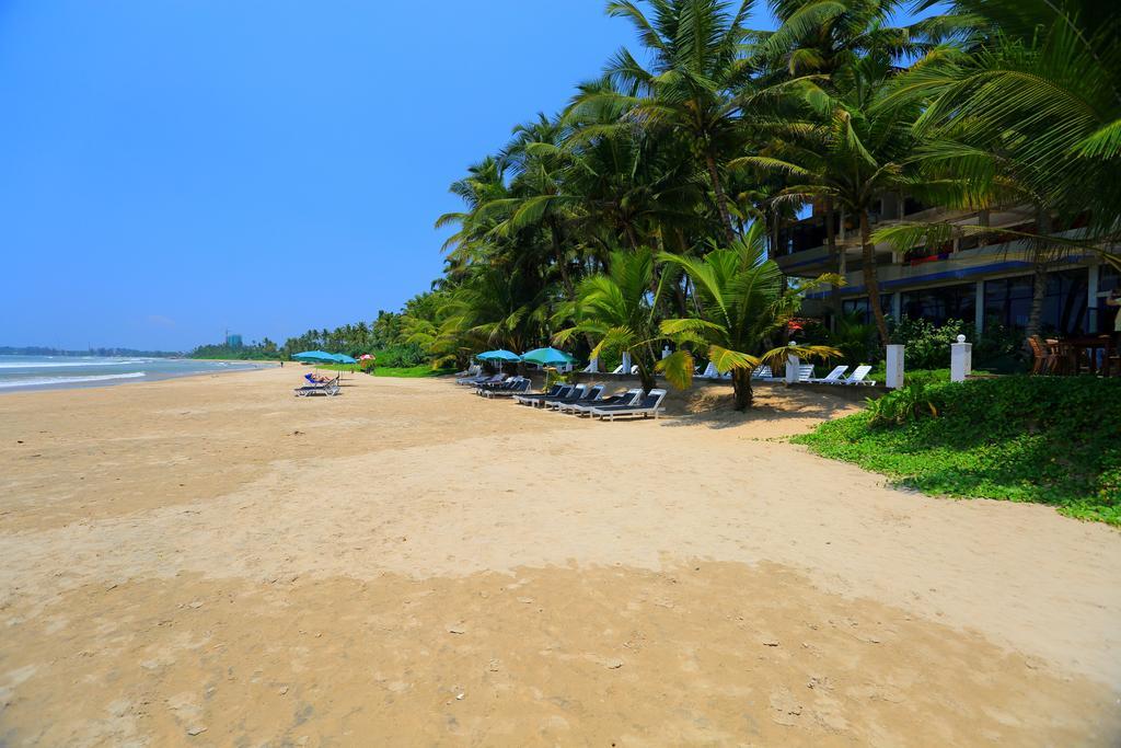 Resort Jagabay & Surfing School Weligama